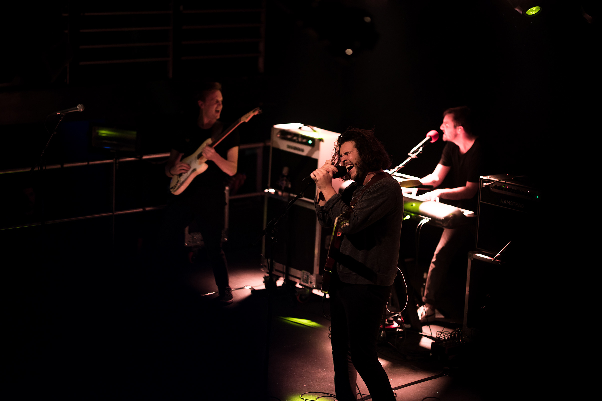 Building Your Band's Online Buzz: A DIY Guide for Musicians